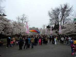 中山公园直播爆料最新情况,揭秘现场盛况与精彩瞬间  第2张