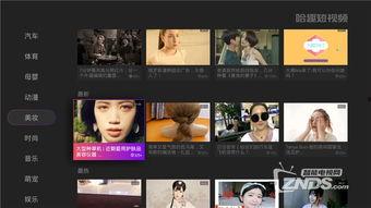 超火的爆料视频下载软件,一键获取热门内容，畅享无界！  第2张