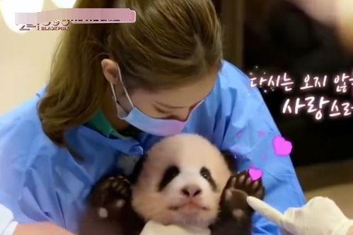 网友爆料小糊花生孩子视频,温馨瞬间引网友热议  第3张